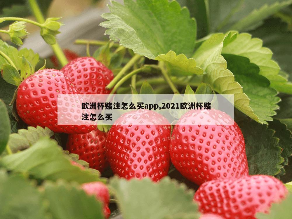 欧洲杯赌注怎么买app,2021欧洲杯赌注怎么买