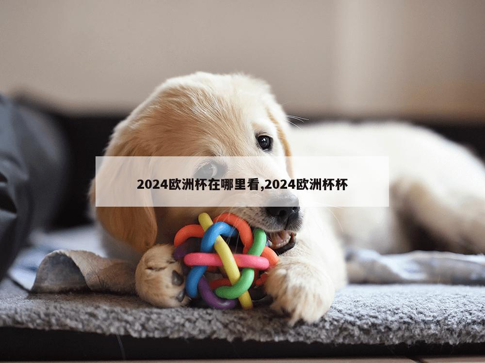 2024欧洲杯在哪里看,2024欧洲杯杯