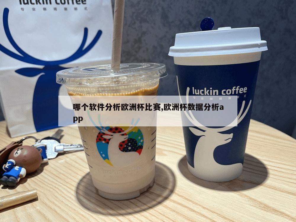 哪个软件分析欧洲杯比赛,欧洲杯数据分析app