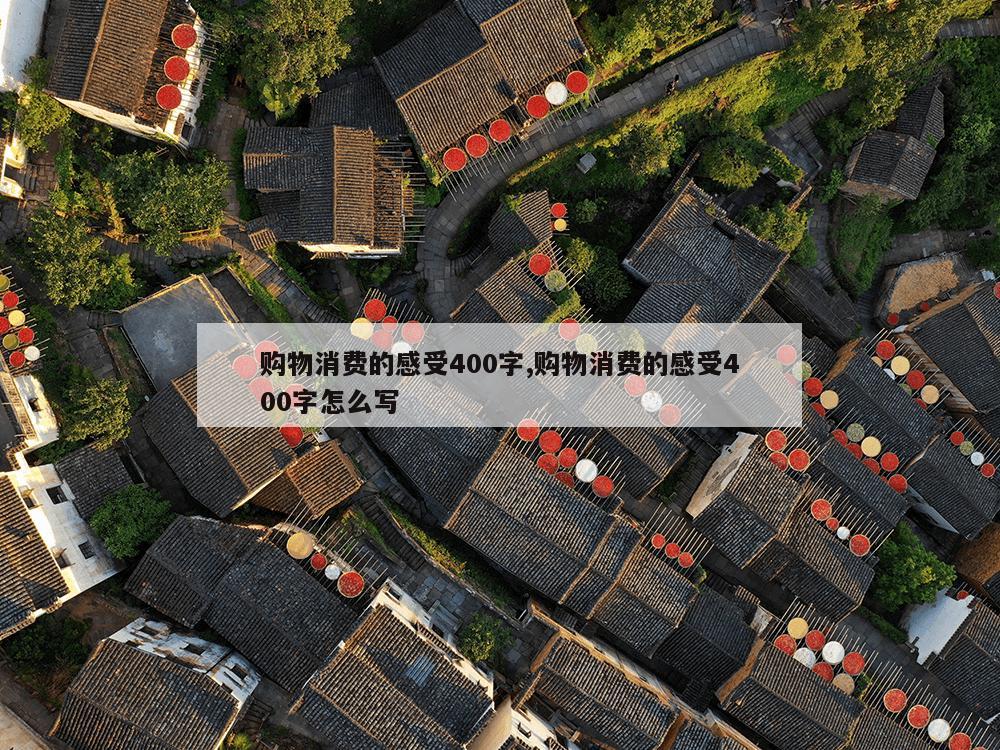 购物消费的感受400字,购物消费的感受400字怎么写