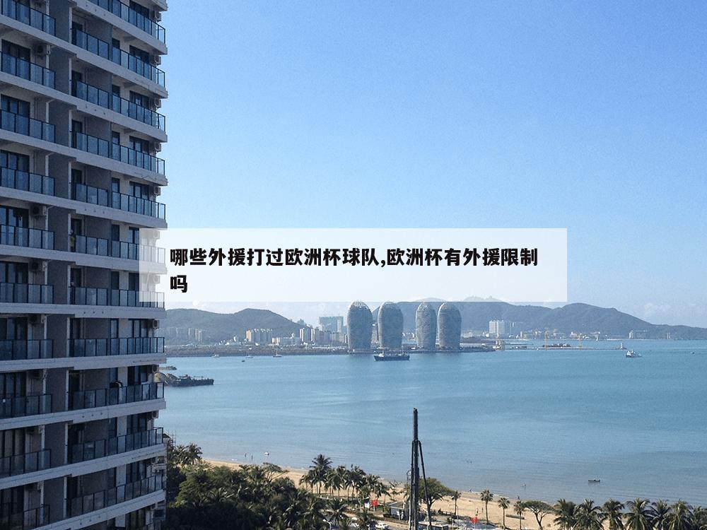 哪些外援打过欧洲杯球队,欧洲杯有外援限制吗