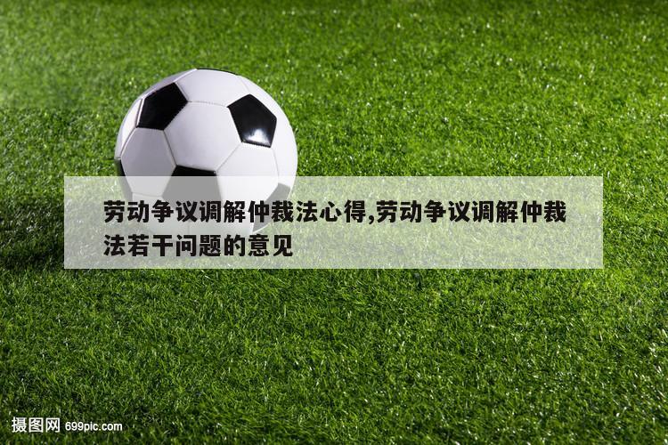 劳动争议调解仲裁法心得,劳动争议调解仲裁法若干问题的意见