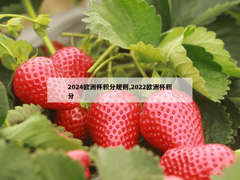 2024欧洲杯积分规则,2022欧洲杯积分