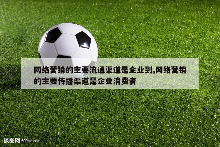 网络营销的主要流通渠道是企业到,网络营销的主要传播渠道是企业消费者