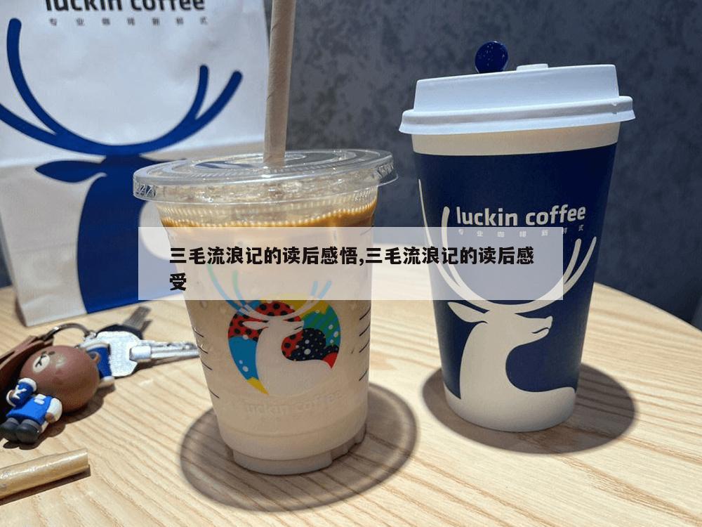 三毛流浪记的读后感悟,三毛流浪记的读后感受