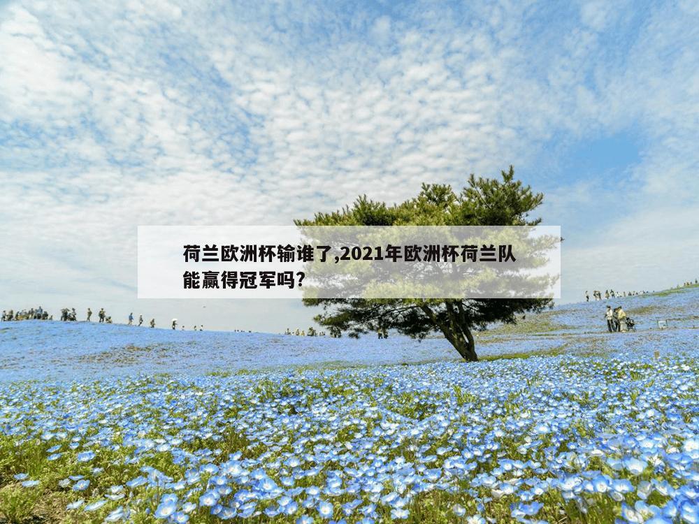 荷兰欧洲杯输谁了,2021年欧洲杯荷兰队能赢得冠军吗?