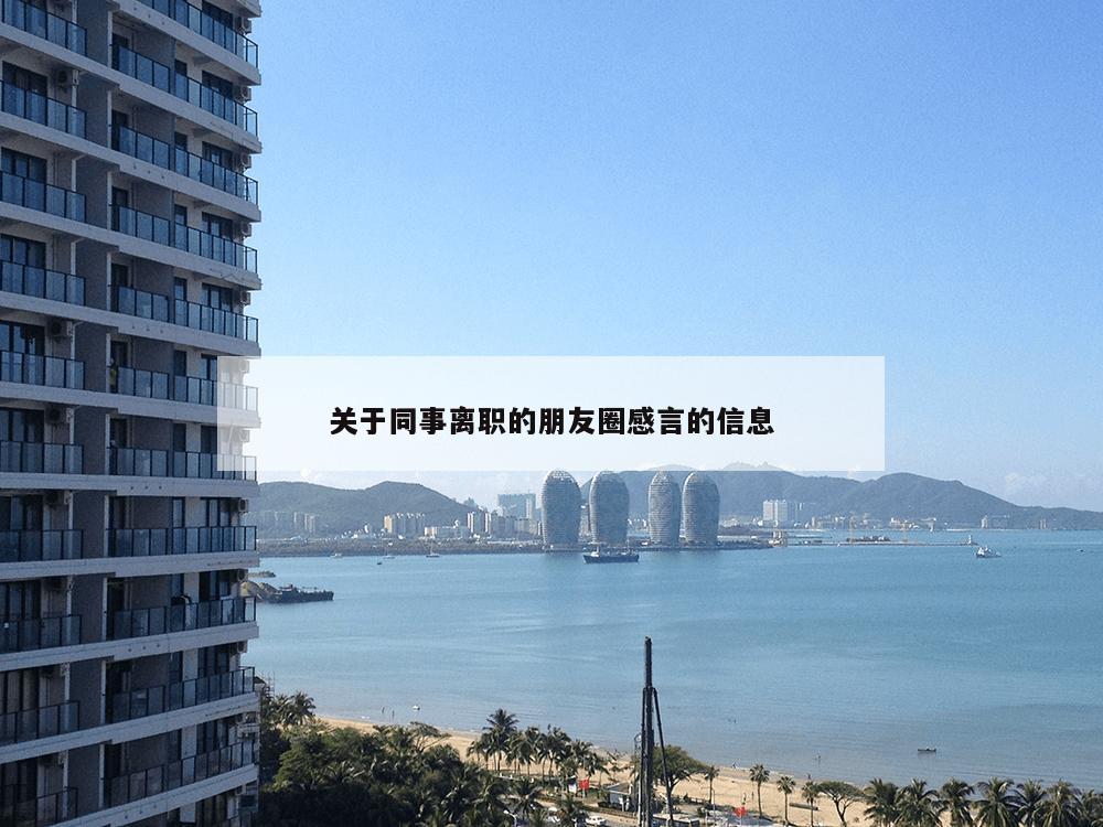 关于同事离职的朋友圈感言的信息