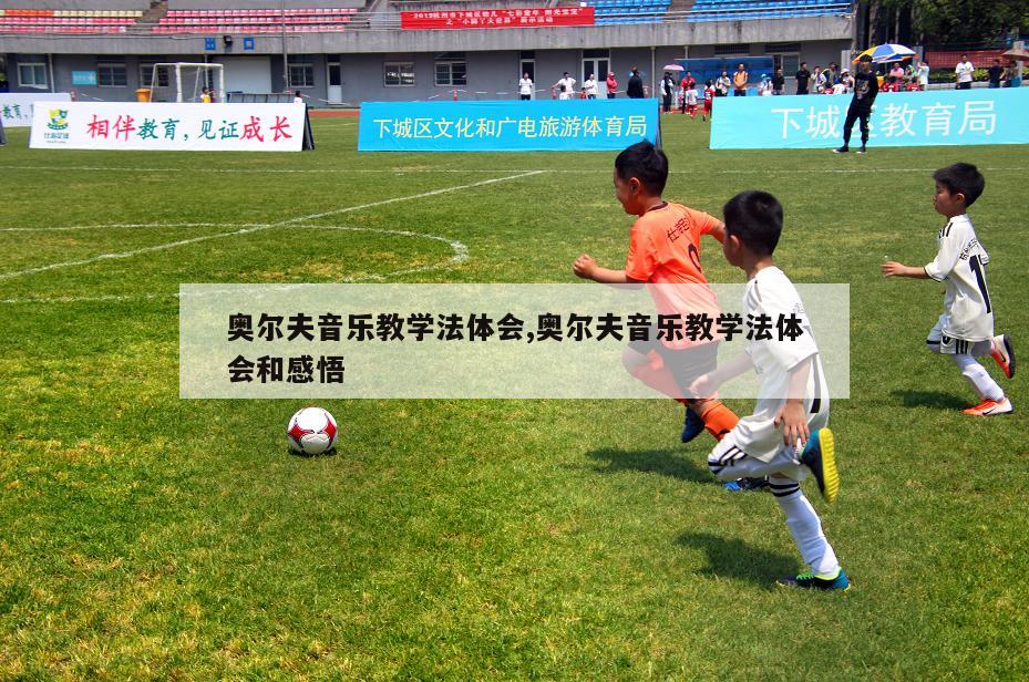 奥尔夫音乐教学法体会,奥尔夫音乐教学法体会和感悟