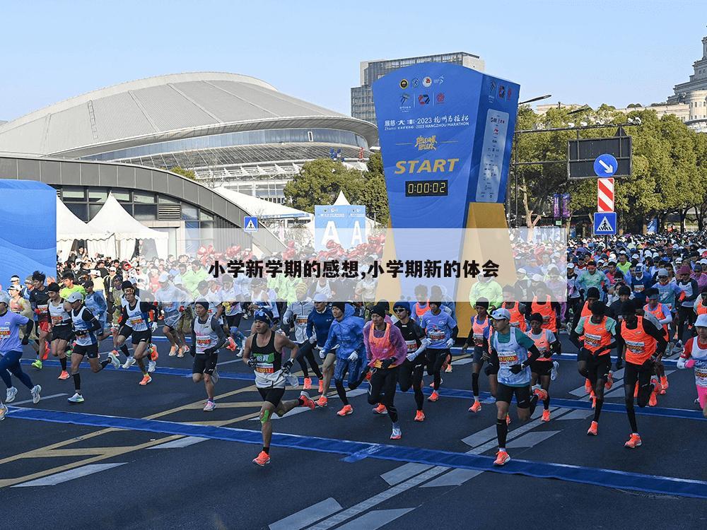 小学新学期的感想,小学期新的体会