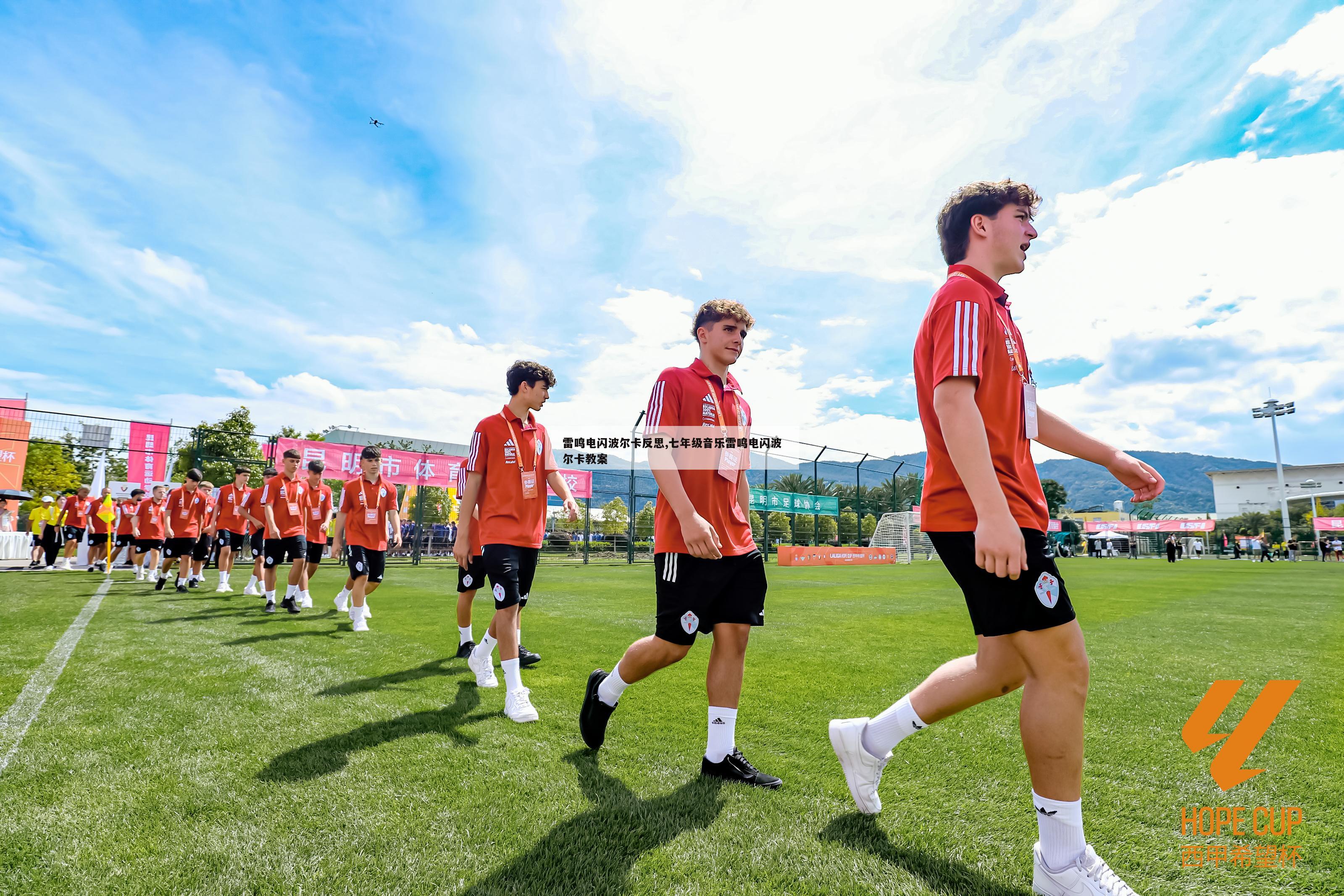 雷鸣电闪波尔卡反思,七年级音乐雷鸣电闪波尔卡教案