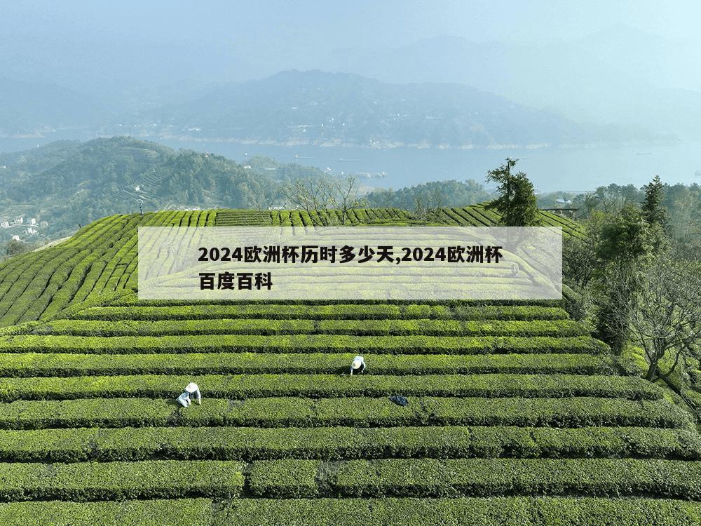 2024欧洲杯历时多少天,2024欧洲杯百度百科